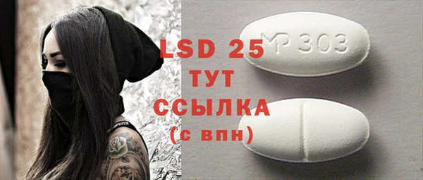 прущие грибы Балахна