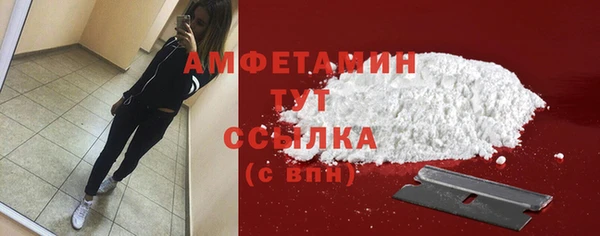 прущие грибы Балахна
