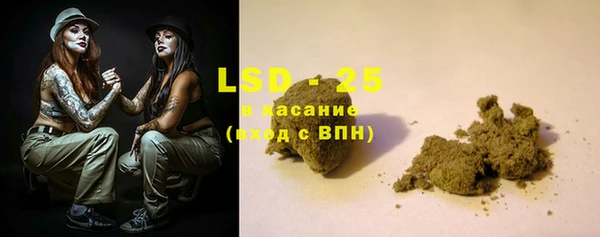 прущие грибы Балахна