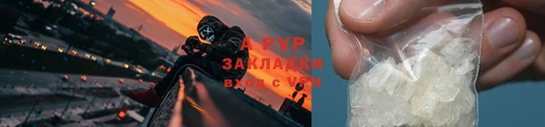 гидра Балабаново