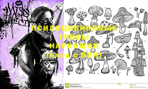 прущие грибы Балахна