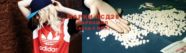 прущие грибы Балахна